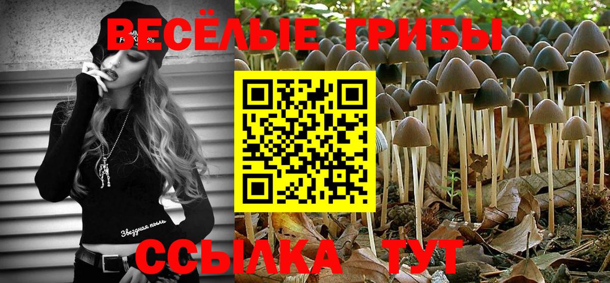 Галлюциногенные грибы мухоморы Саратов